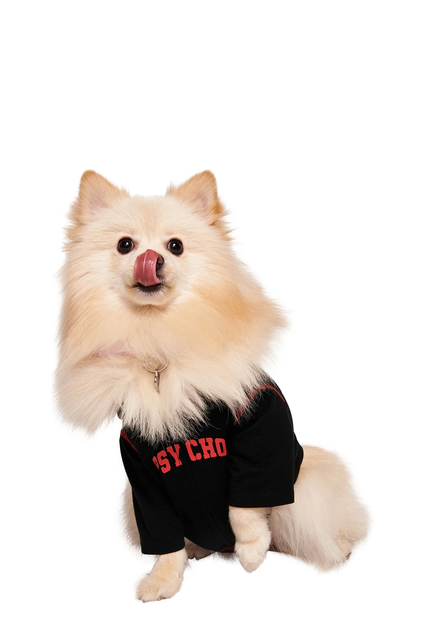 BLARE BEST FRIEND DOG HOODIE - BLACK PSYCHO - Image 5