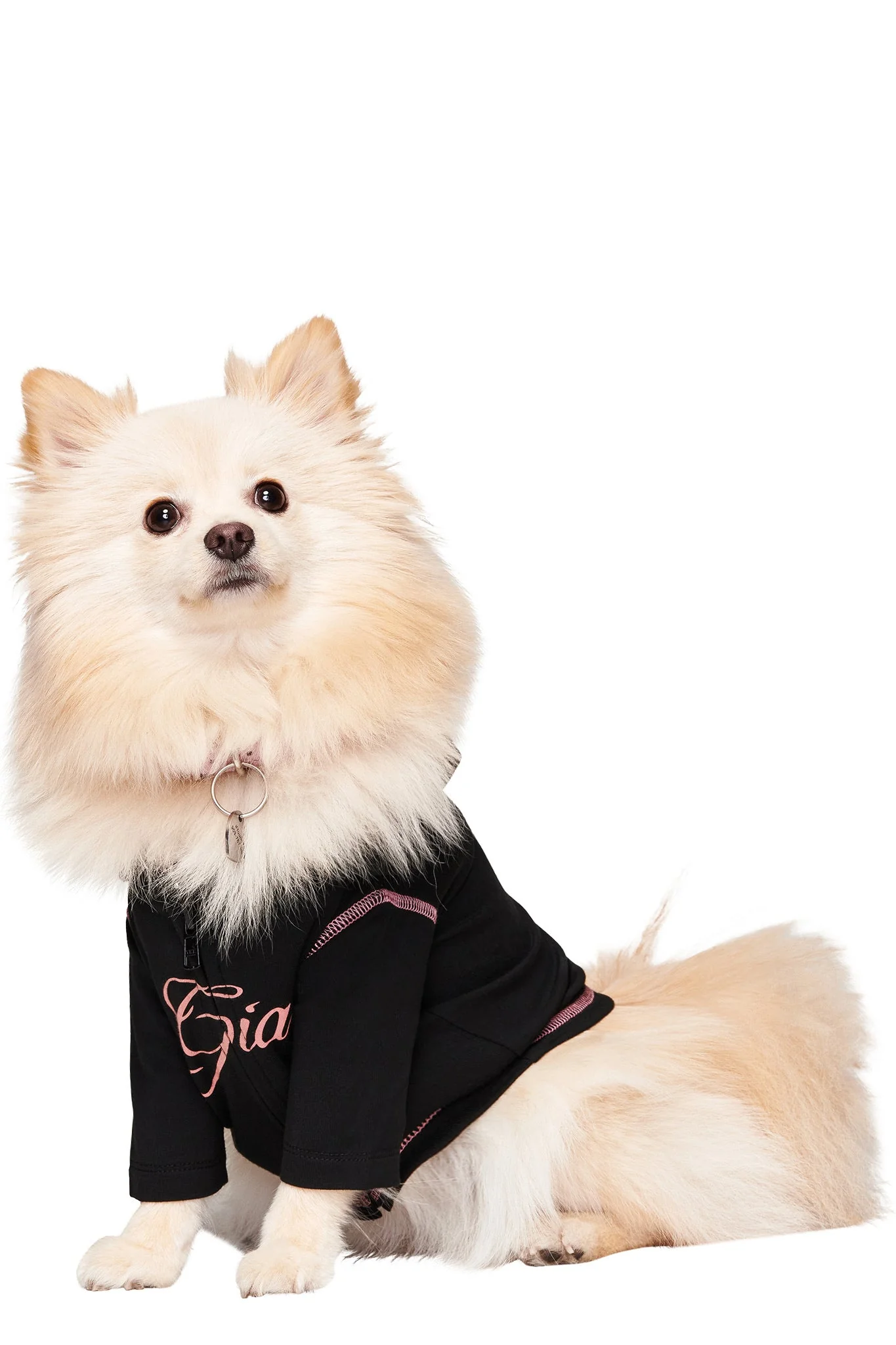 BLARE BEST FRIEND DOG HOODIE - BLACK - Image 3
