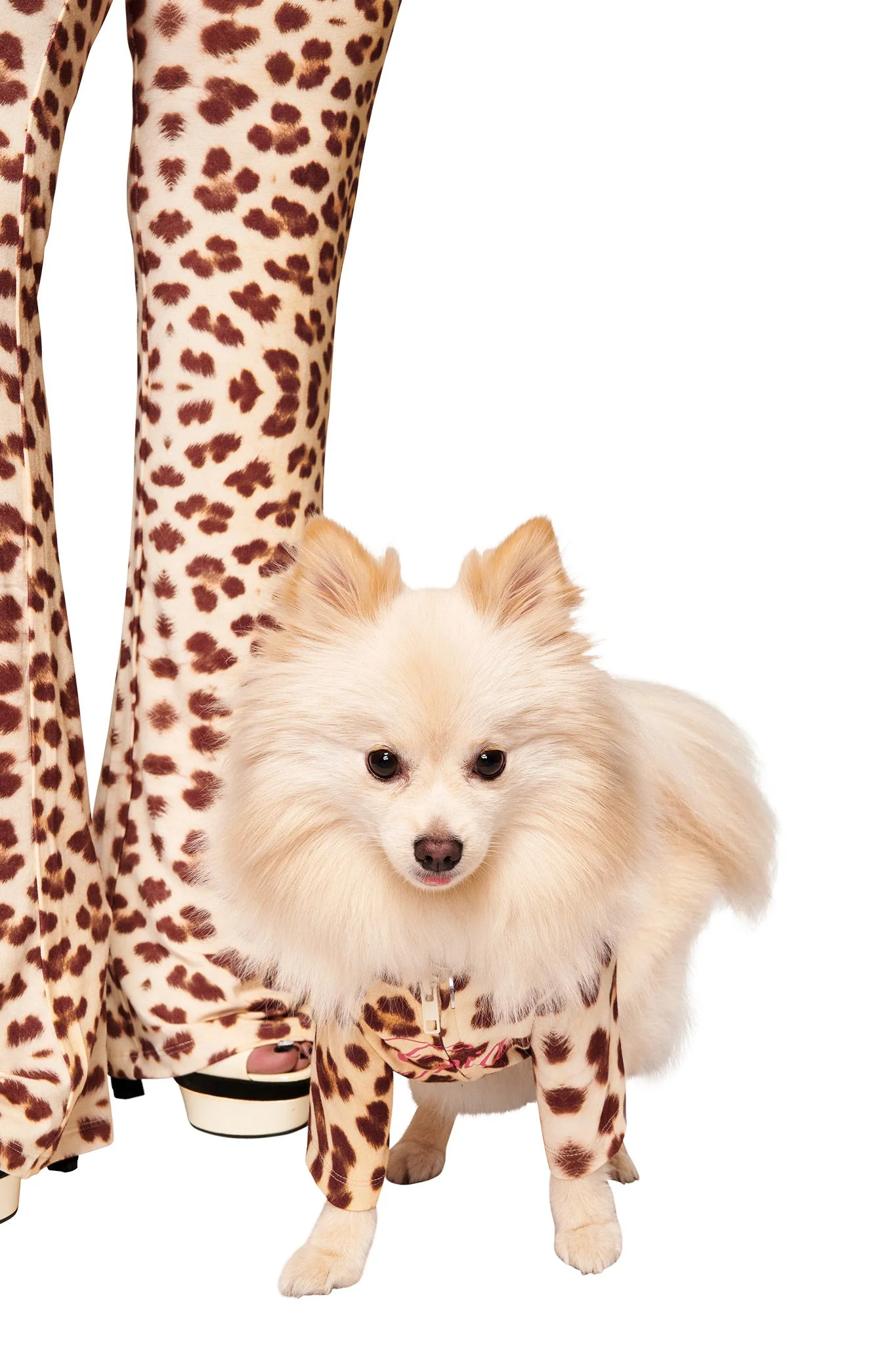 BLARE BEST FRIEND DOG HOODIE - WILD CARD - Image 2