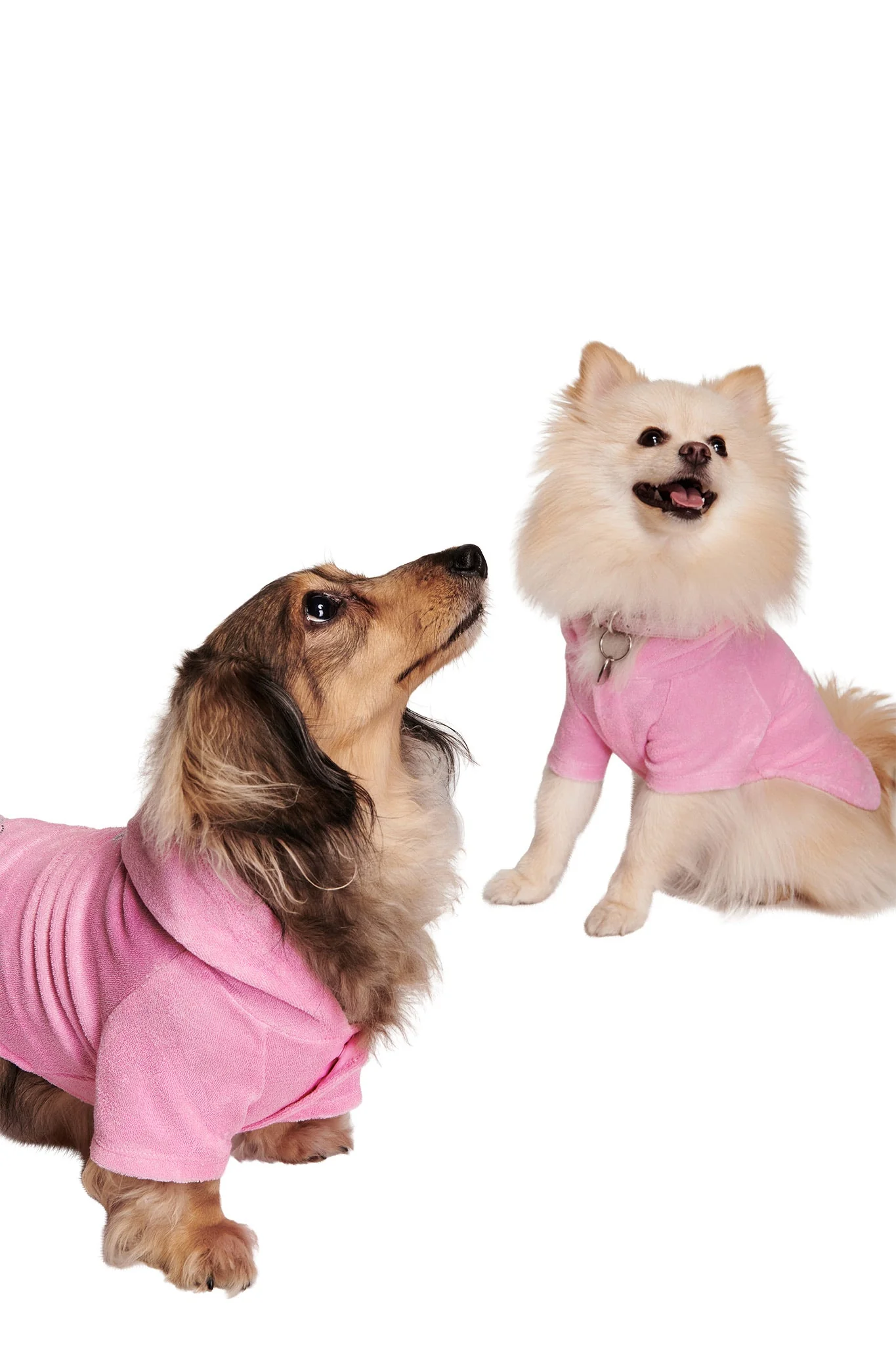 HONEY DOG ONESIE - PINK - Image 4