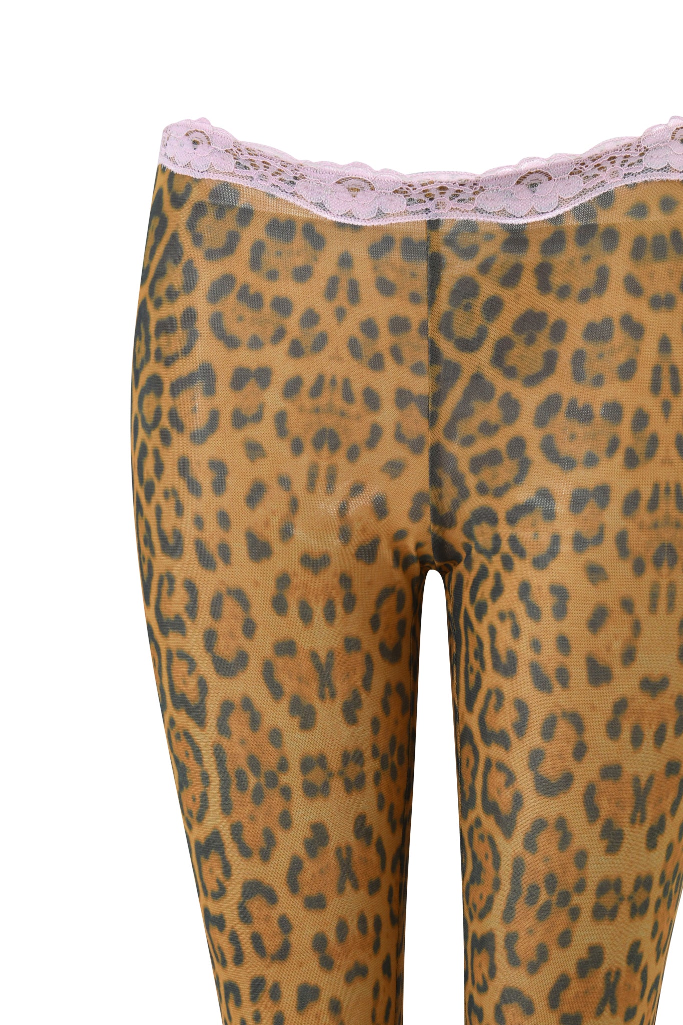 TASHI CAPRI - PANTHERA - Image 8