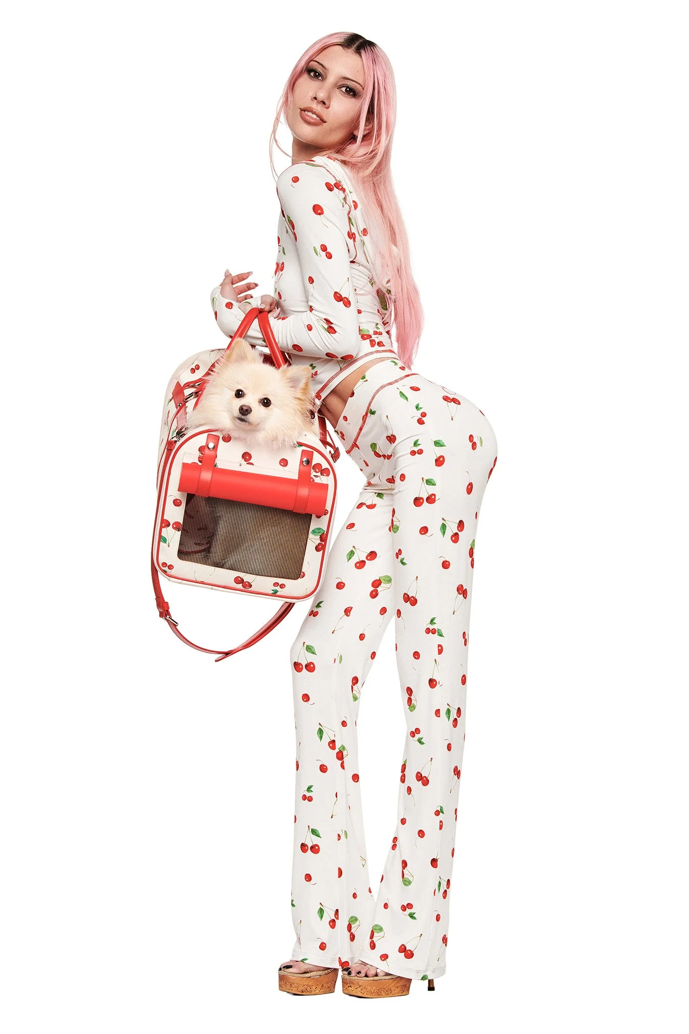 TRIXX PET CARRIER - CHERRY ON TOP - Image 7